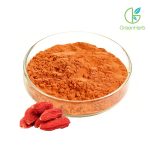Goji Berry Powder close-up texture detail