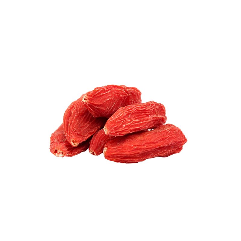 Lycium barbarum fresh red goji berry macro photography