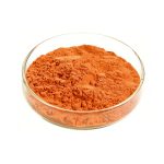 Bright orange-red Goji Berry Powder fine particle detail
