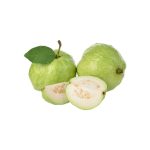 Psidium guajava fresh tropical fruit macro photography
