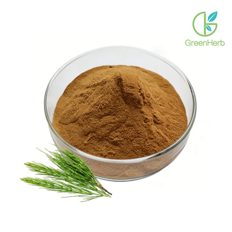 Horsetail Grass Extract close-up texture detail