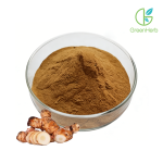 Jerusalem Artichoke Powder close-up of loose powder