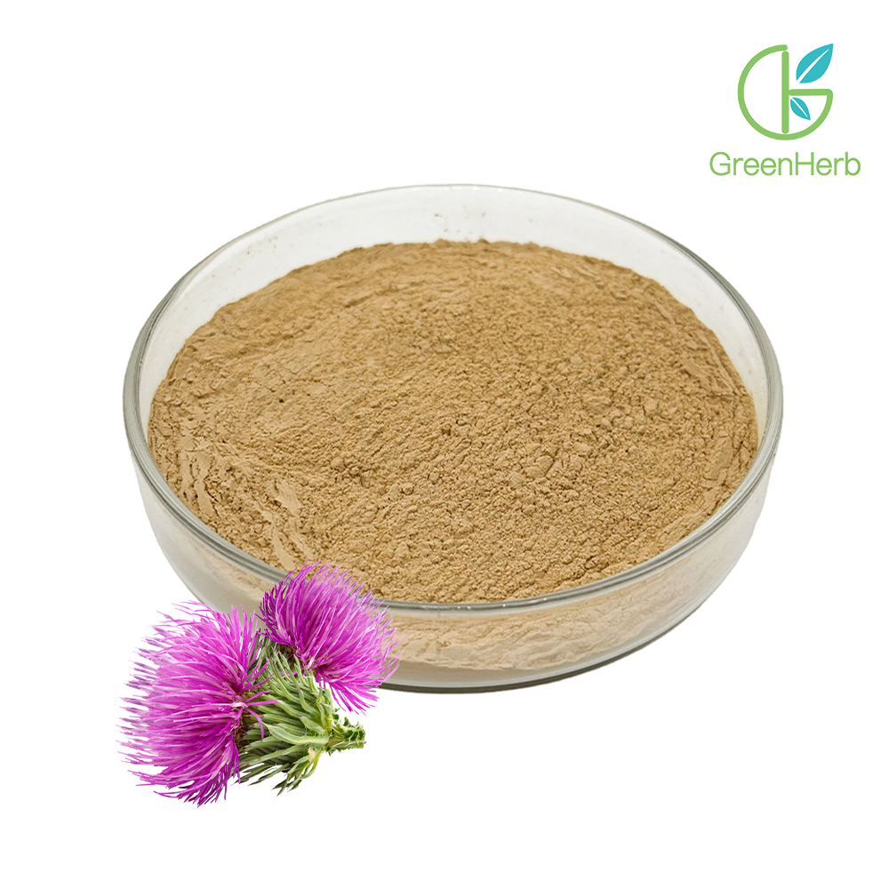 Milk Thistle Extract close-up texture detail Milk Thistle Extract close-up texture detail