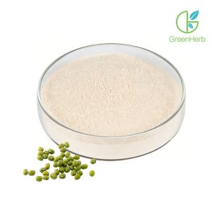 Mung Protein Powder close-up texture detail