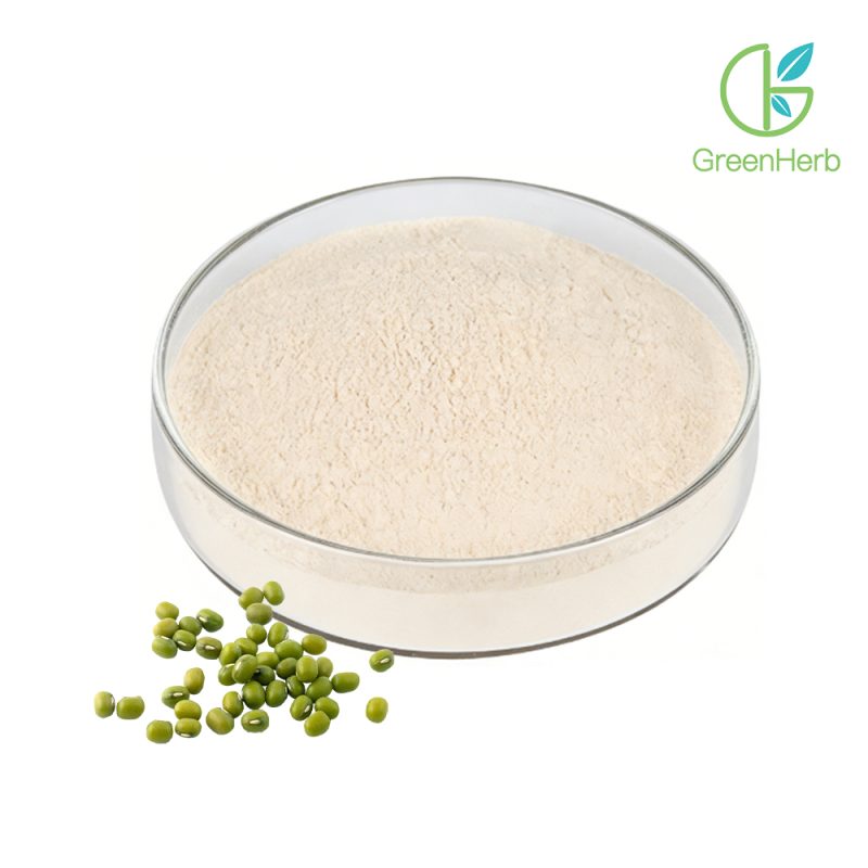 Mung Protein Powder close-up texture detail