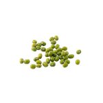 Vigna radiata green mung bean seed macro photography