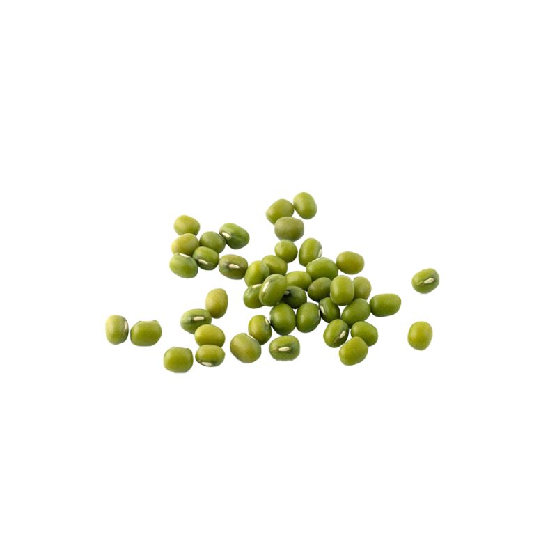 Vigna radiata green mung bean seed macro photography