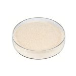 Light yellow Mung Protein Powder fine particle detail