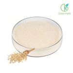 Oat Protein Powder close-up texture detail