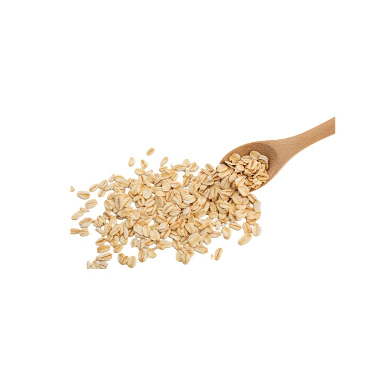 Avena sativa oat grain macro photography