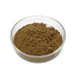 Light green Olive Leaf Extract fine powder detail