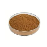 Bulk Ginseng Powder packaged in fiber drums