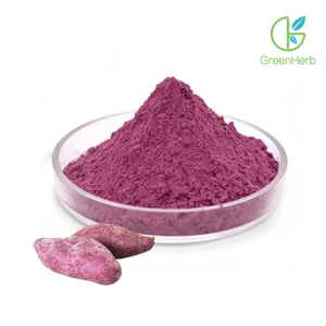 Purple Sweet Potato Powder raw material close-up view