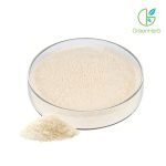 Rice Protein Powder close-up texture detail