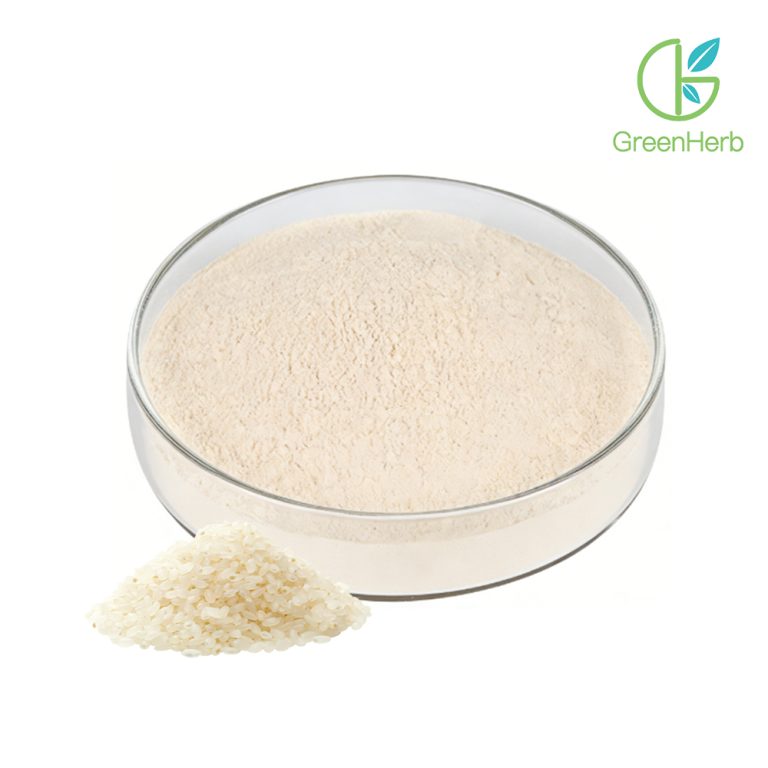 Rice Protein Powder close-up texture detail