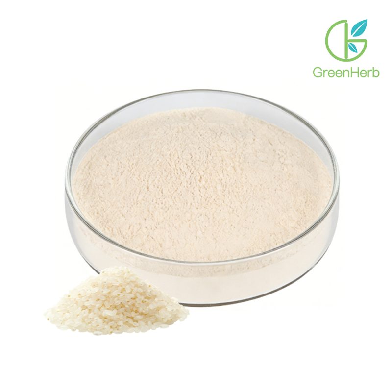 Rice Protein Powder close-up texture detail
