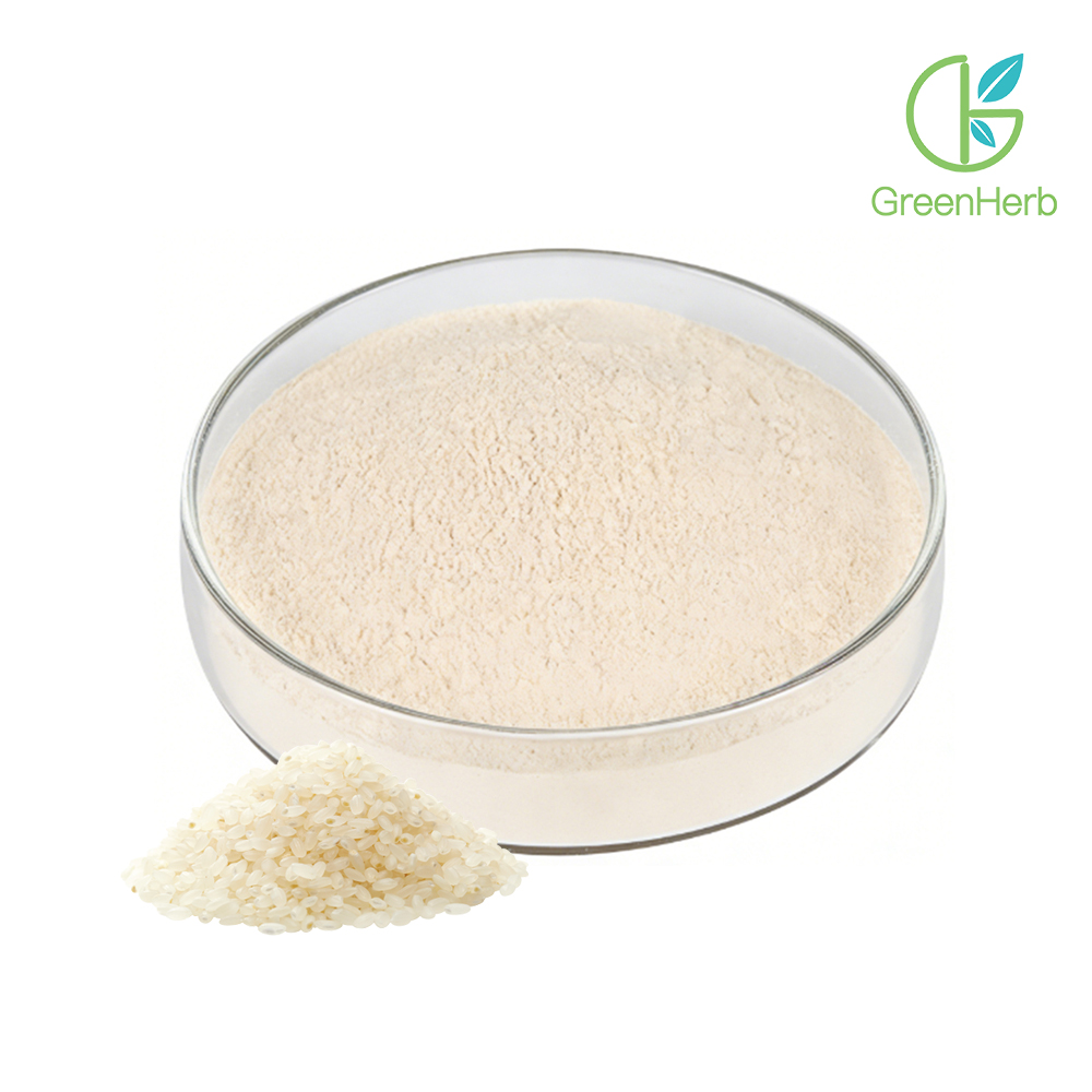 Rice Protein Powder close-up texture detail Rice Protein Powder close-up texture detail
