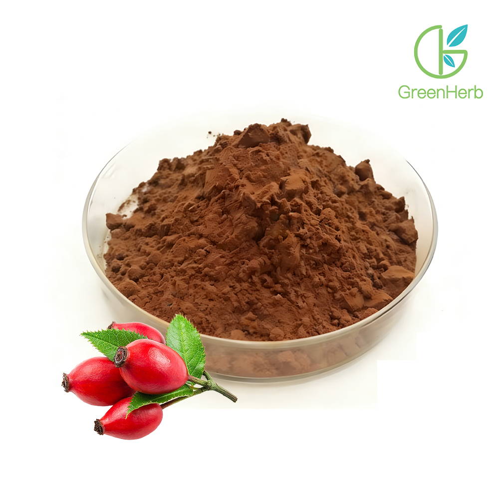 Rosehip Fruit Powder close-up texture detail Rosehip Fruit Powder close-up texture detail