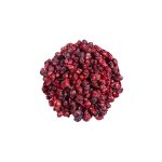 Schisandra chinensis fresh five-flavor berry macro photography