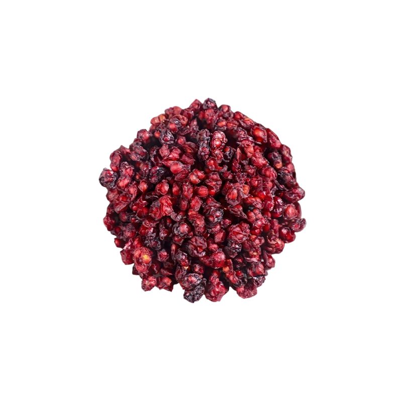 Schisandra chinensis fresh five-flavor berry macro photography