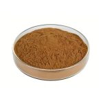 Dark red Schisandra Extract fine powder detail