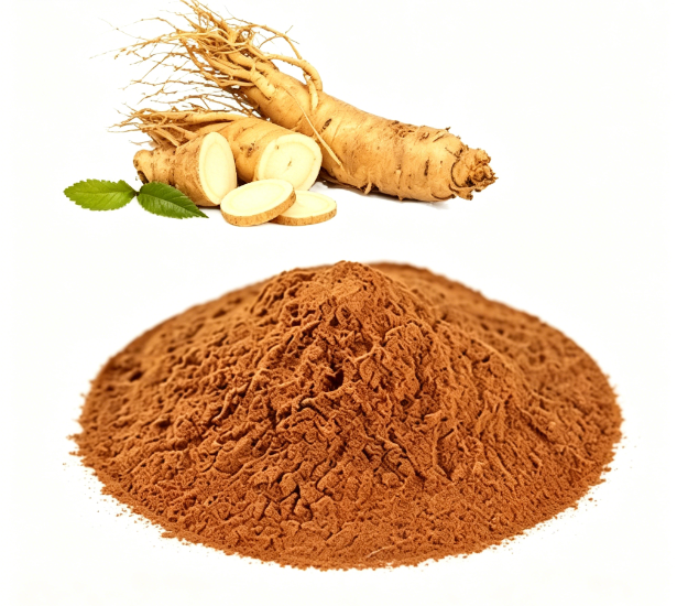 Vacuum concentration stage for Dong Quai Extract Powder production