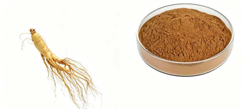 Fine milled Ginseng Powder texture detail