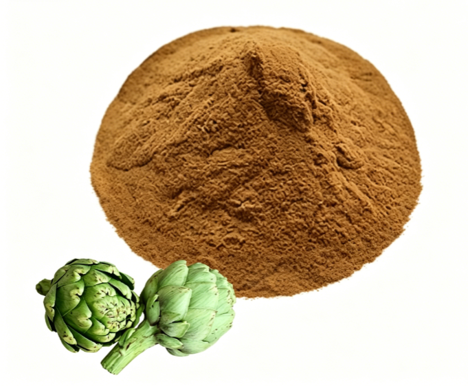 Fine milled Artichoke Extract texture detail