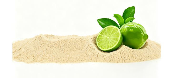 Bulk Citrus Aurantium Extract Hesperidin packaged in fiber drums