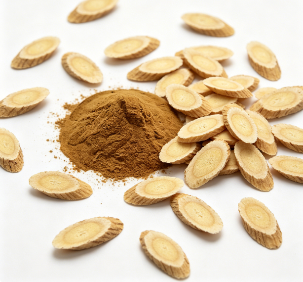 Fine milled Astragalus Root Powder texture detail