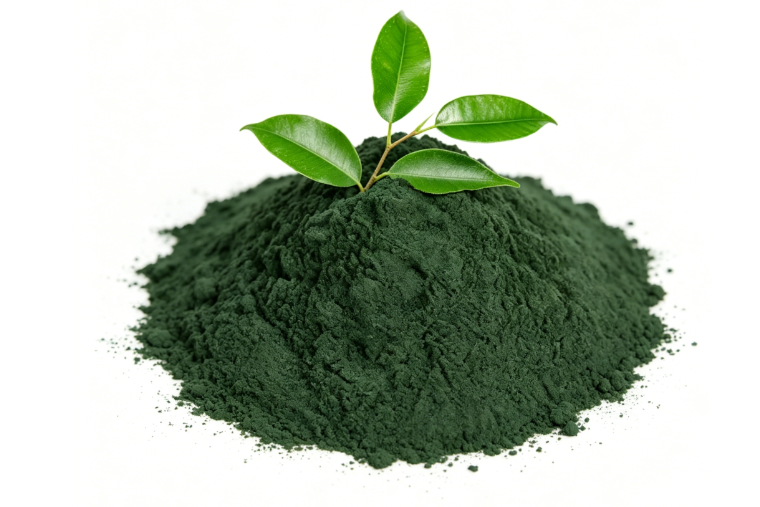 Bulk Sodium Copper Chlorophyllin Powder packaged in fiber drums