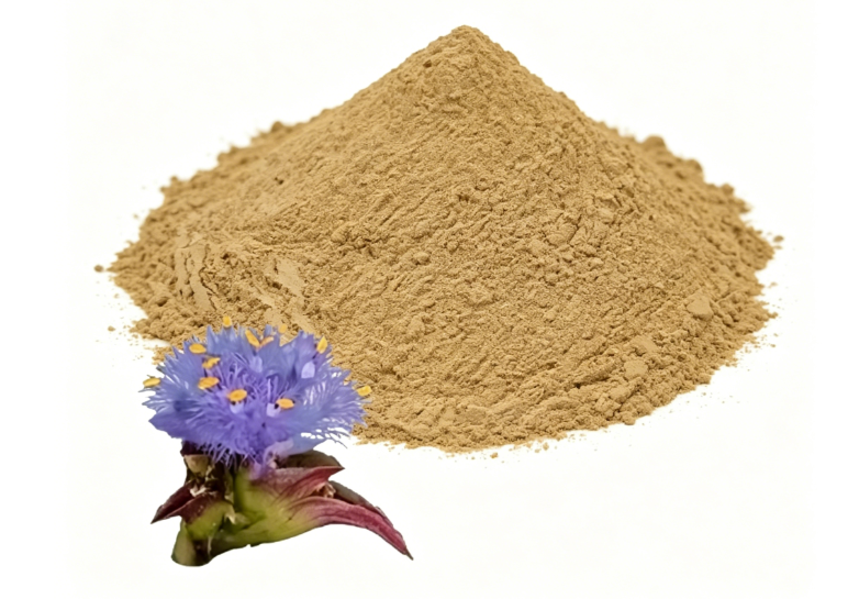Off-white Beta Ecdysterone fine powder particle detail