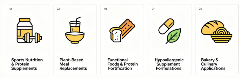 Rice Protein Powder multiple application scenes