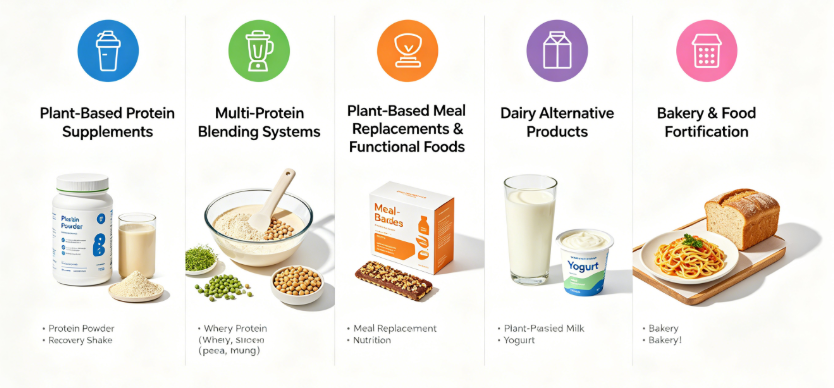 Mung Protein Powder multiple application scenes