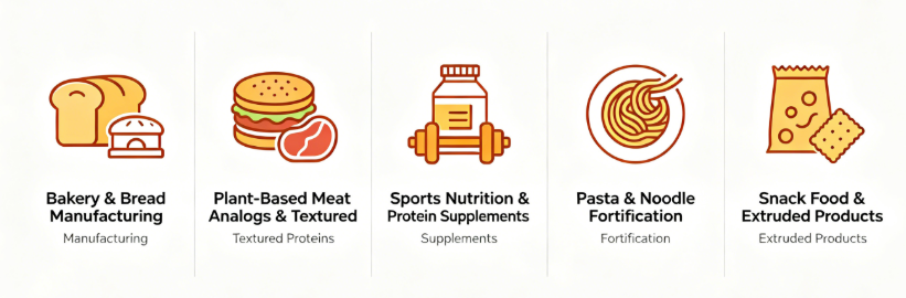 Wheat Protein Powder multiple application scenes