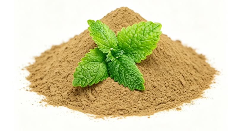 Light green Lemon Balm Powder fine particle detail
