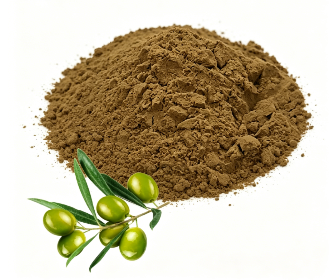 Olive Leaf Extract close-up texture detail