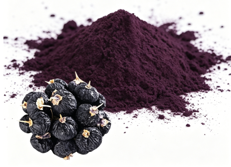 Lycium ruthenicum fresh black goji berry macro photography