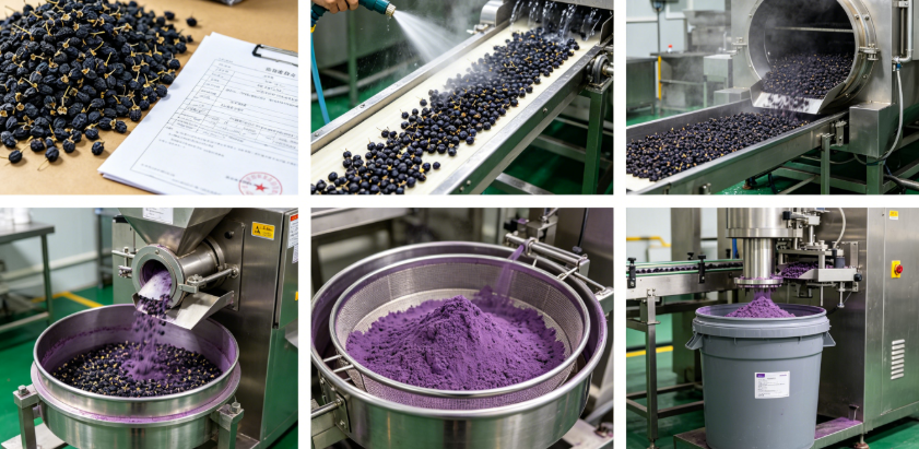 Low-temperature dehydration process flowchart for black goji berry powder production