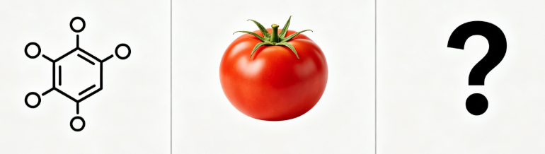 fresh ripe tomatoes natural source of lycopene antioxidant on vine