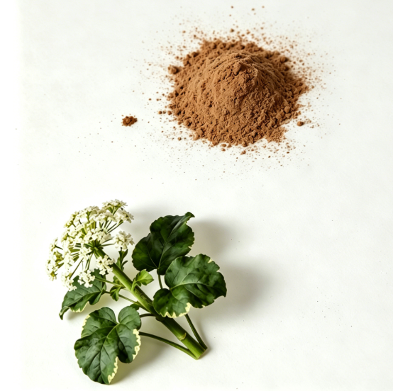 Light brown Valerian Root Extract fine powder detail
