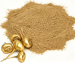 maca extract powder cream yellow brown close up