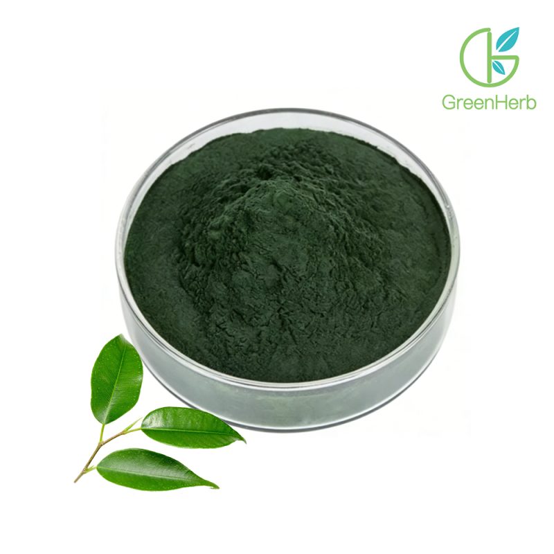 Sodium Copper Chlorophyllin Powder close-up texture detail
