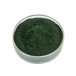 Dark green Sodium Copper Chlorophyllin fine powder detail