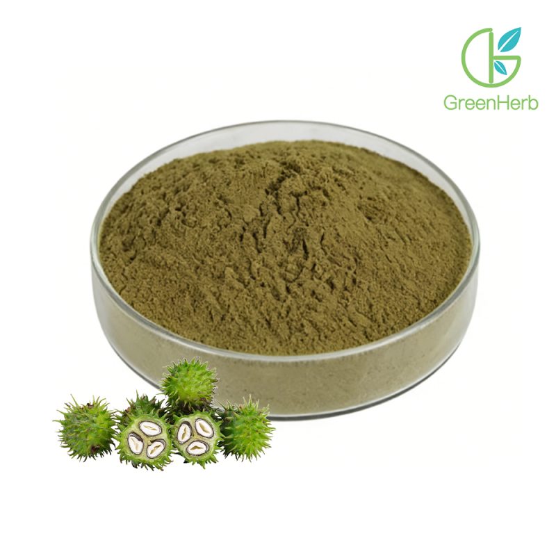 Tribulus Terrestris Powder close-up view