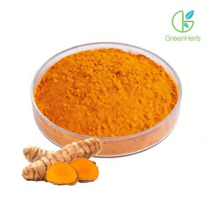 Turmeric Root Powder close-up texture detail