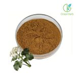 Valerian Root Extract close-up texture detail