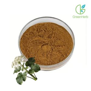 Valerian Root Extract close-up texture detail