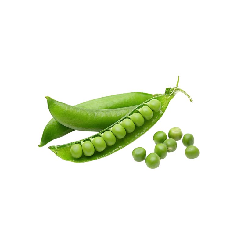 Fine milled Velvet Bean Extract texture detail