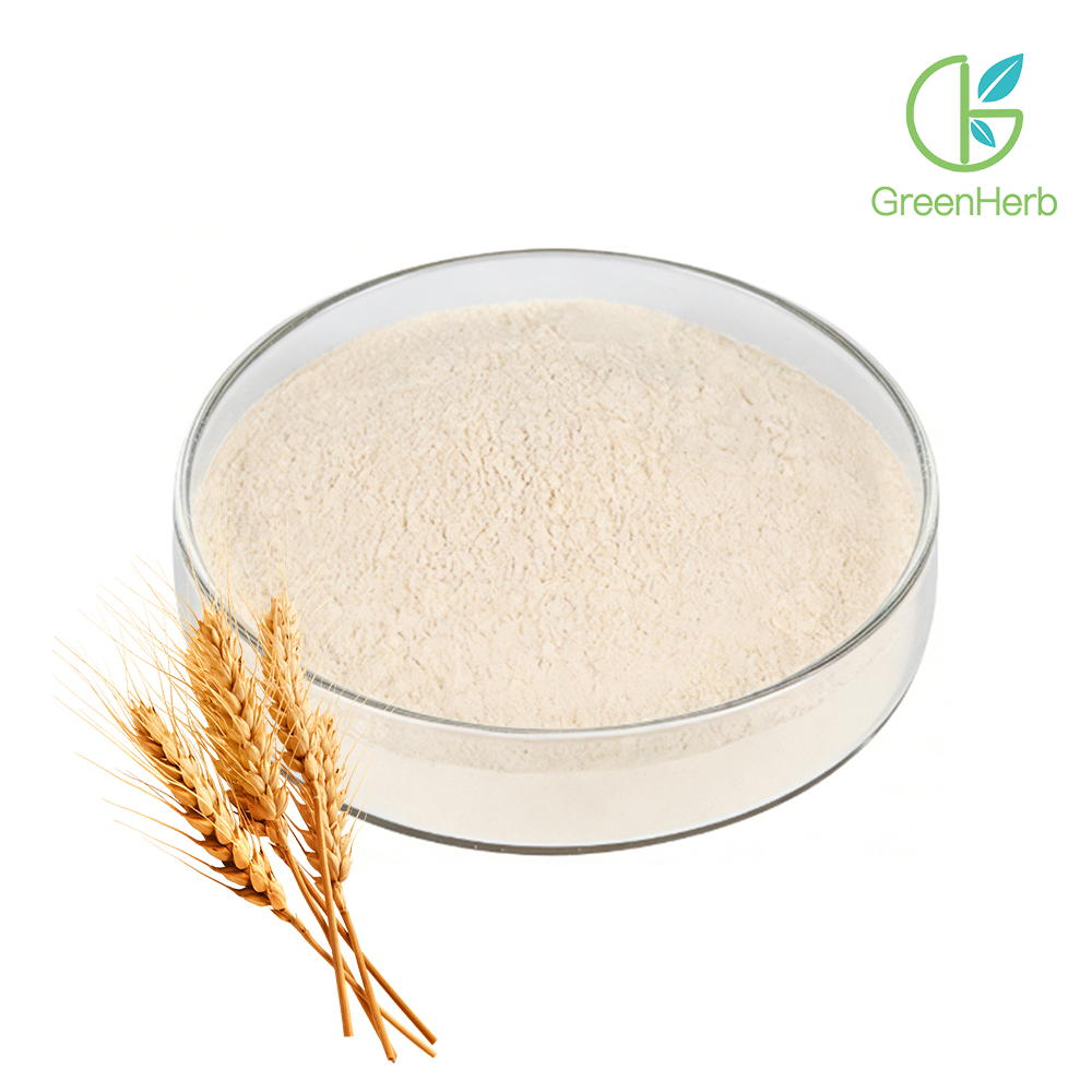 Wheat Protein Powder close-up texture detail Wheat Protein Powder close-up texture detail